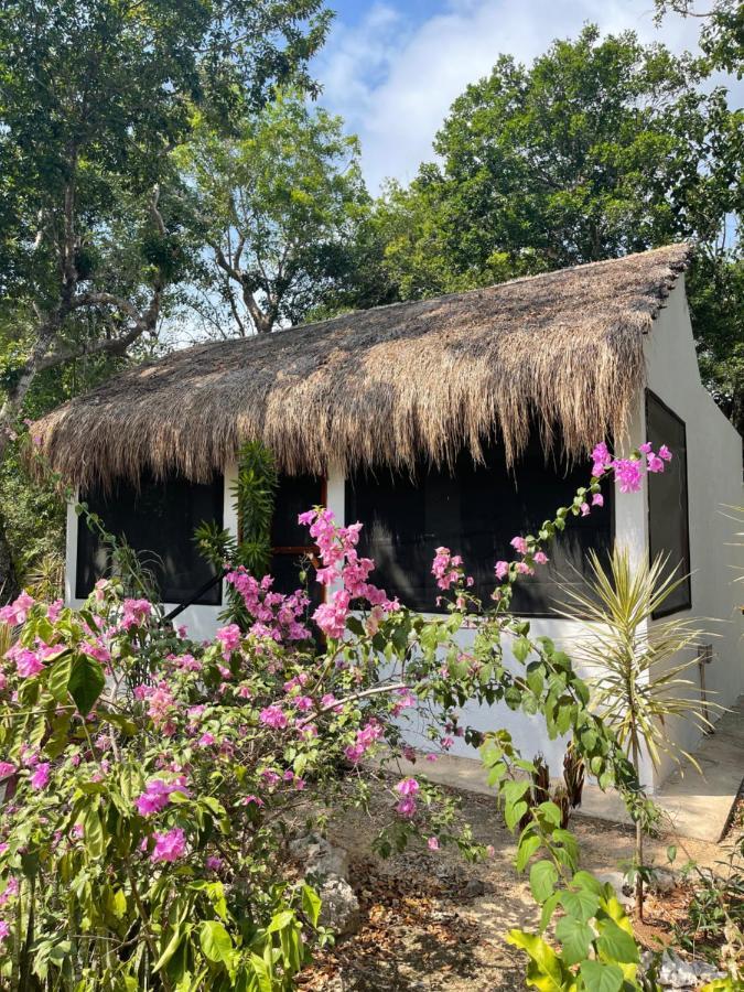 Maya Eco Village Akumal Esterno foto